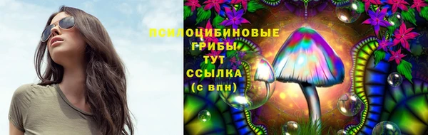сатива Вяземский