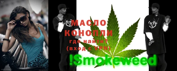сатива Вяземский