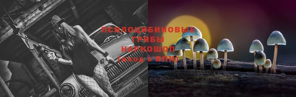 сатива Вяземский
