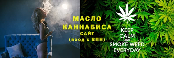 сатива Вяземский