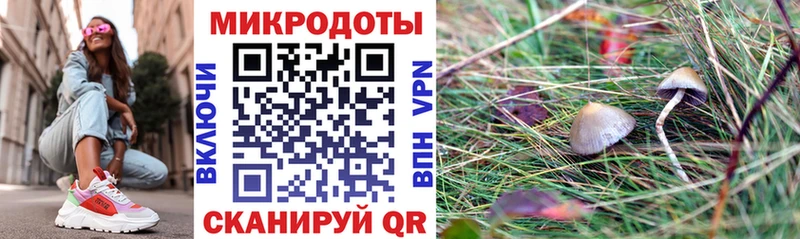 Псилоцибиновые грибы прущие грибы  Дубовка 